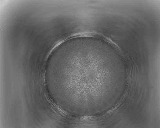 X0000060811166200511171300