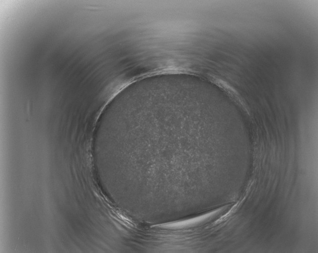 X0000060811170200511171300