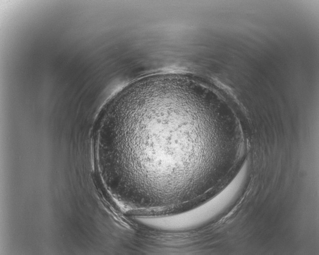 X0000060811171200511171300