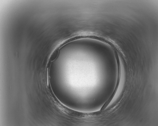 X0000060811175200511171300