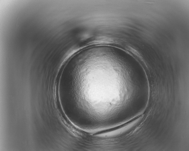 X0000060811179200511171300