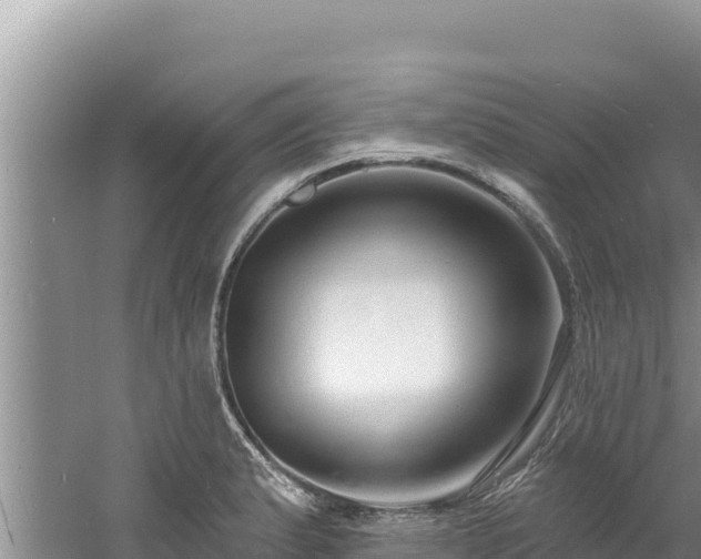 X0000060811183200511171300