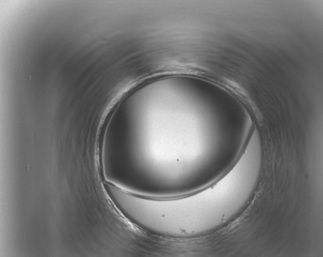 X0000060811188200511171300