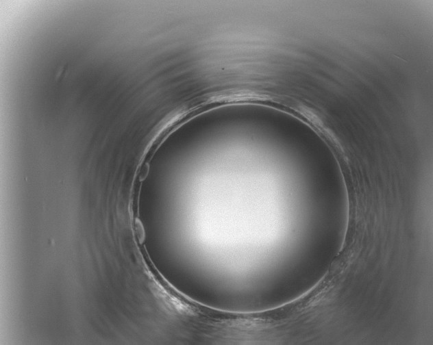 X0000060811189200511171300