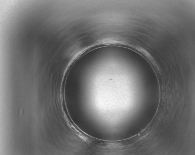 X0000060811191200511171300