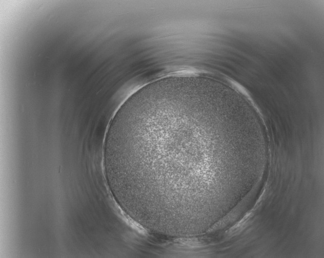 X0000060811194200511171300