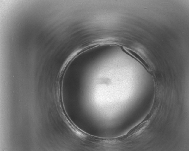 X0000060811196200511171300