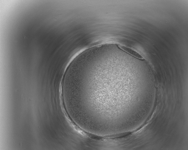 X0000060811198200511171300