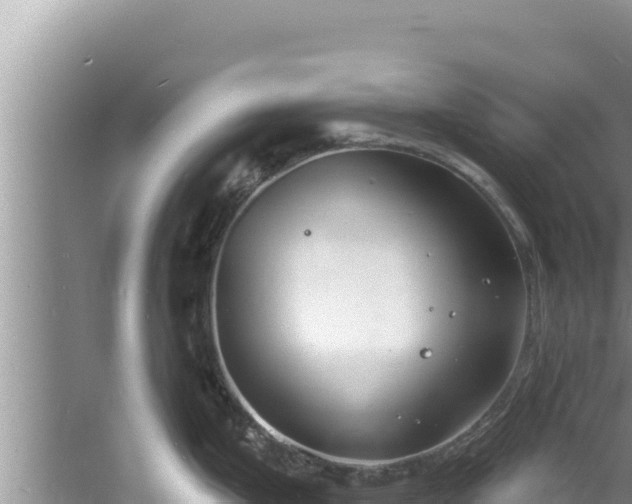 X0000060811199200511171300