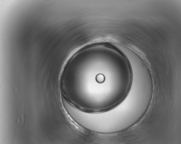 X0000060811200200511171300