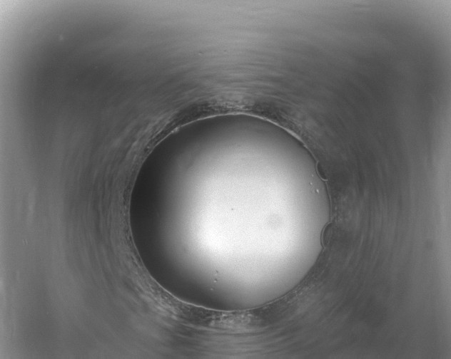 X0000060811201200511171259