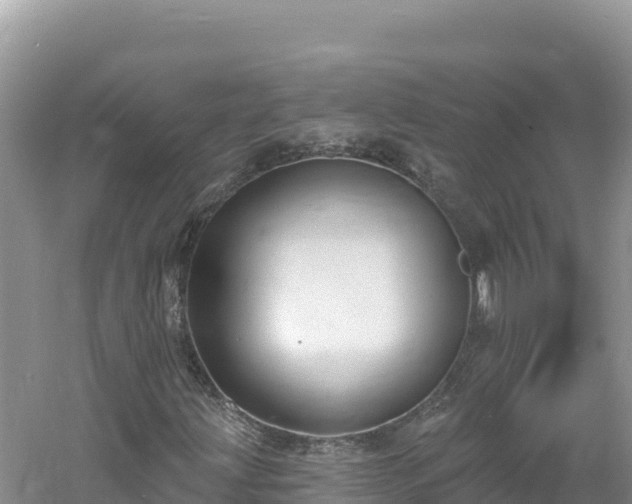 X0000060811203200511171259