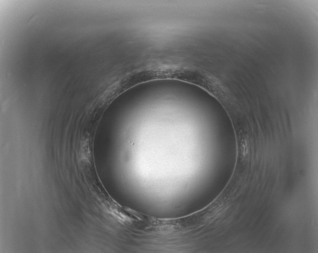 X0000060811204200511171259