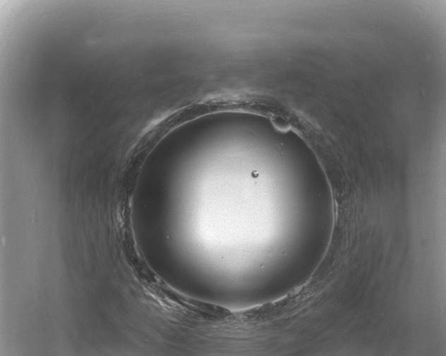 X0000060811206200511171259