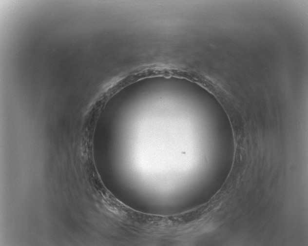 X0000060811207200511171259