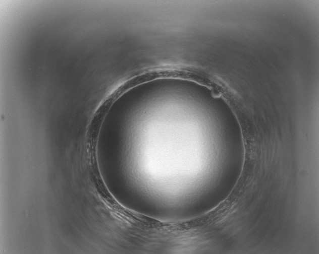 X0000060811208200511171259