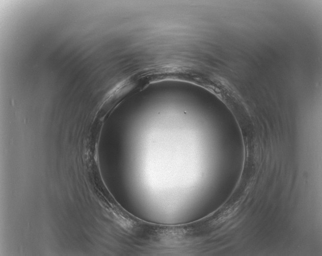 X0000060811210200511171259