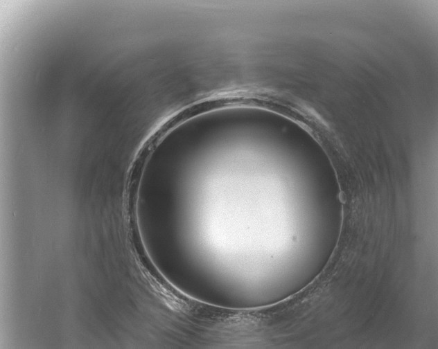 X0000060811216200511171259