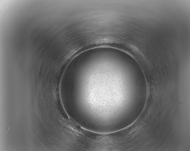 X0000060811217200511171259