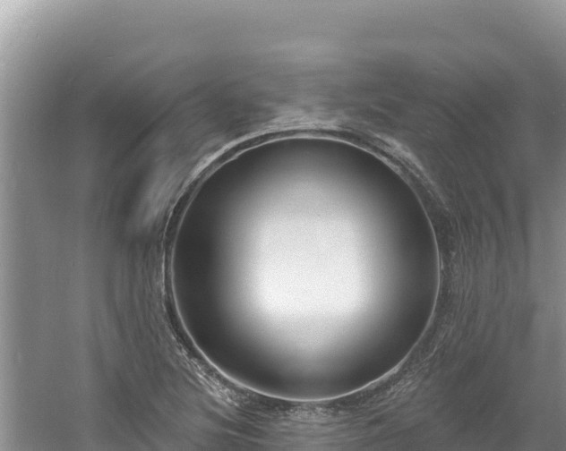 X0000060811220200511171259