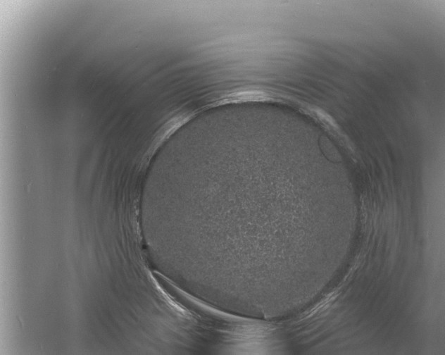 X0000060811225200511171259