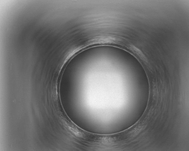 X0000060811226200511171259