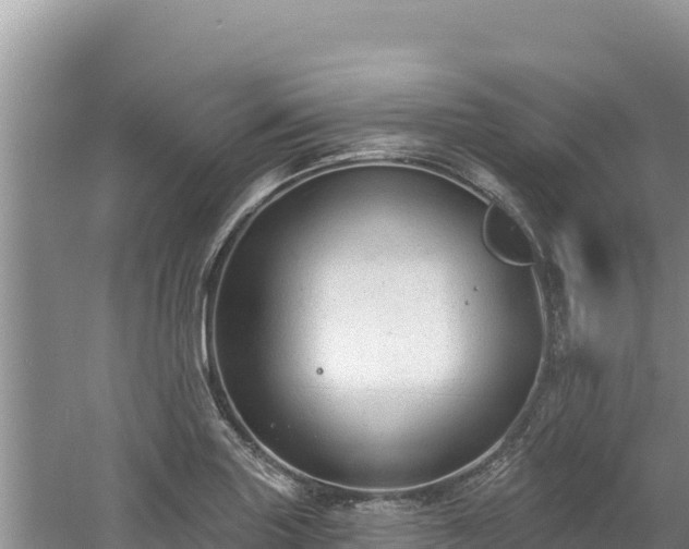 X0000060811227200511171259