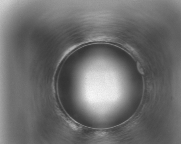 X0000060811230200511171259