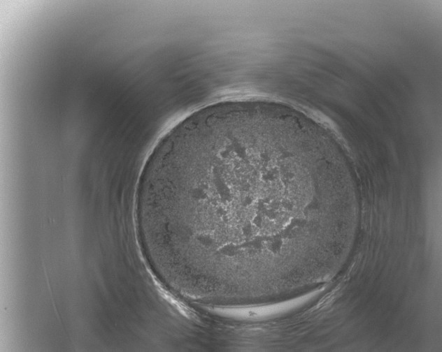 X0000060811231200511171259