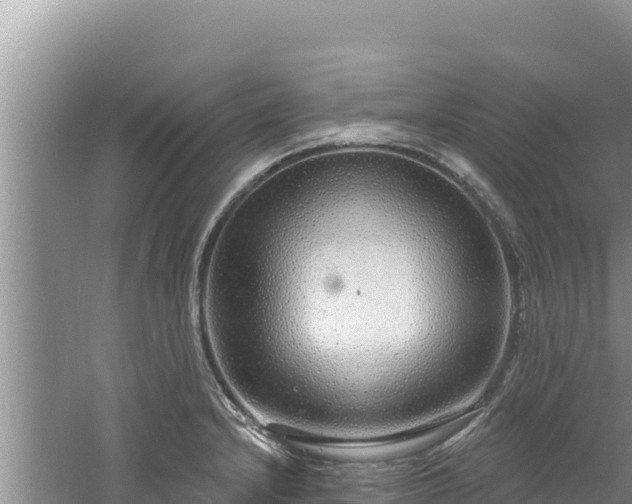 X0000060811232200511171259