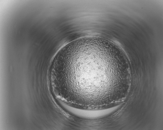 X0000060811235200511171300