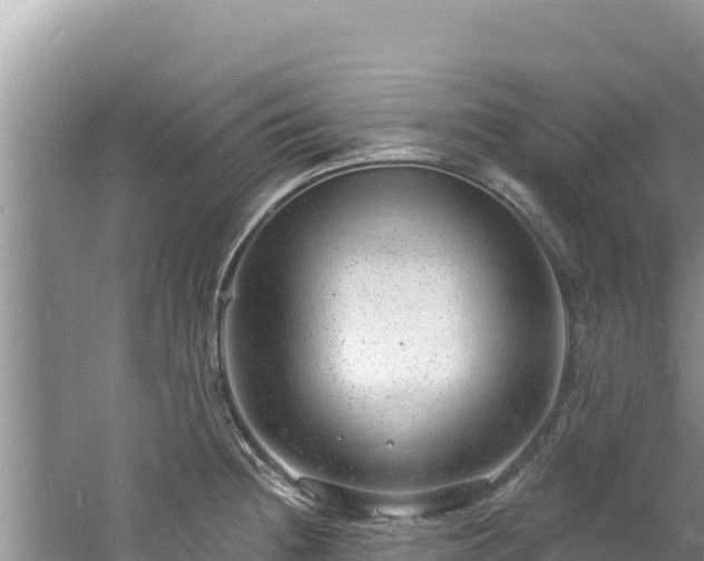 X0000060811236200511171300