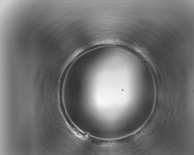 X0000060811237200511171300