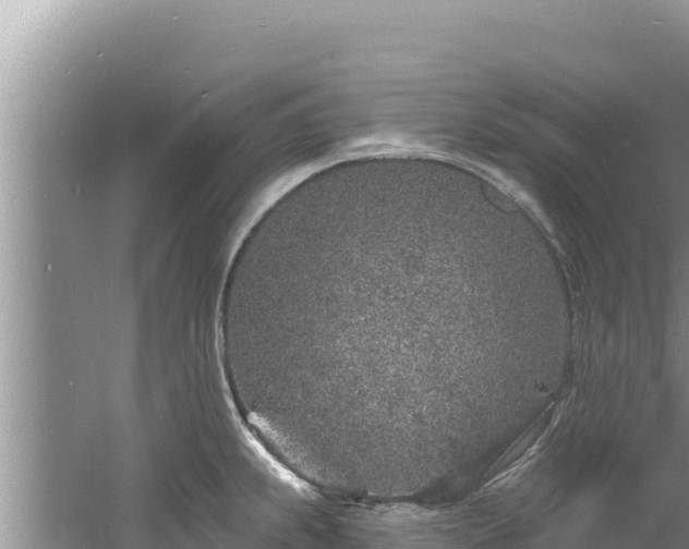 X0000060811239200511171300