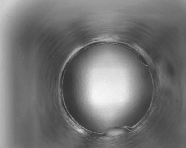 X0000060811240200511171300