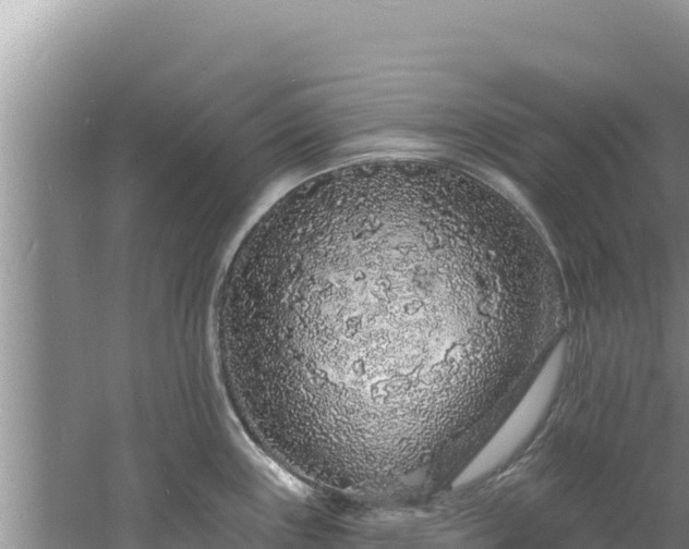 X0000060811243200511171300