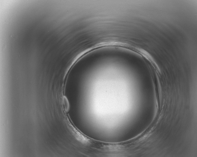 X0000060811244200511171300