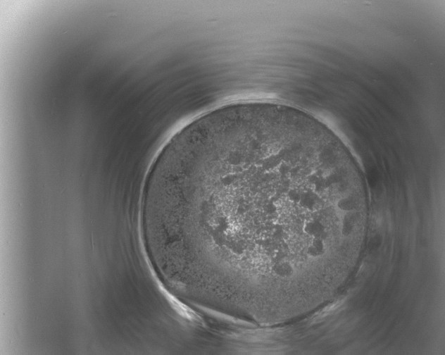 X0000060811245200511171300