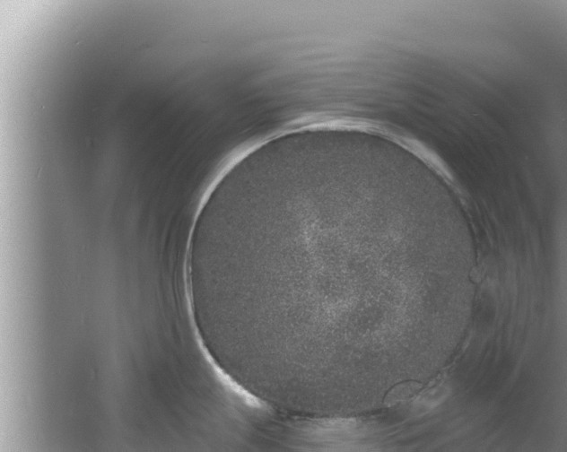 X0000060811247200511171300