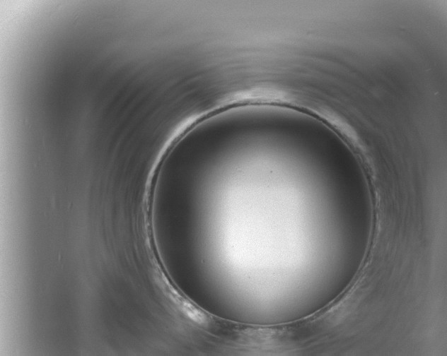 X0000060811248200511171300