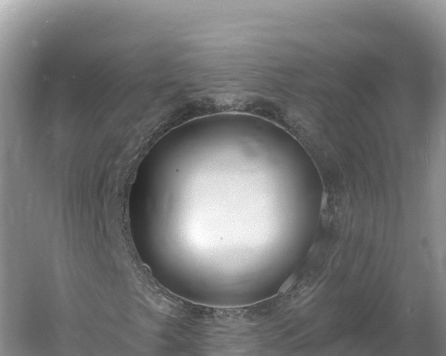 X0000060811249200511171259