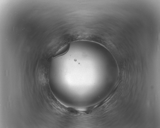 X0000060811250200511171259