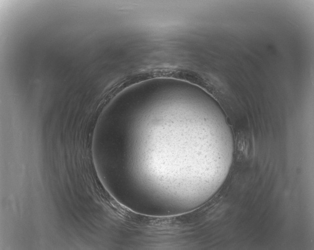 X0000060811252200511171259