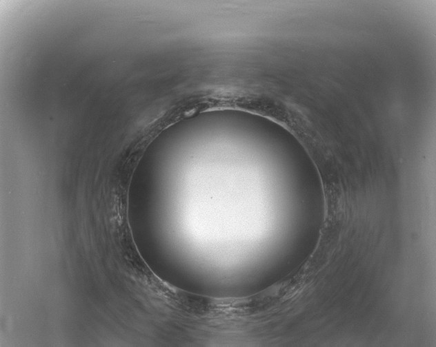 X0000060811253200511171259