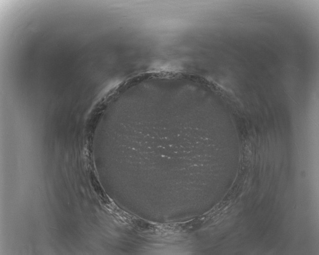 X0000060811254200511171259