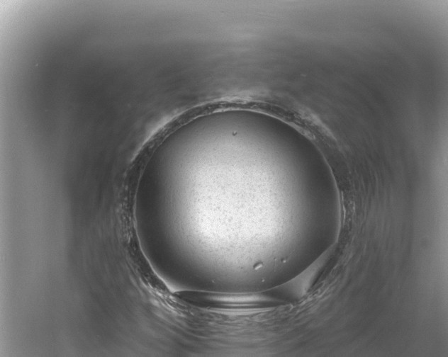 X0000060811256200511171259