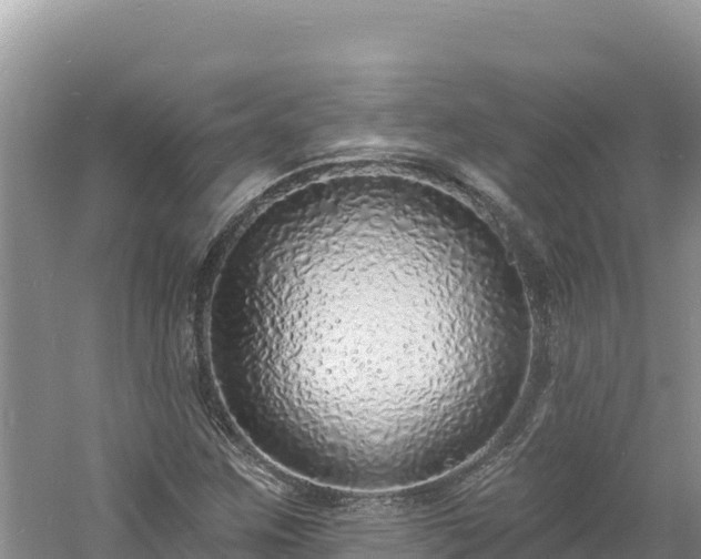 X0000060811259200511171259