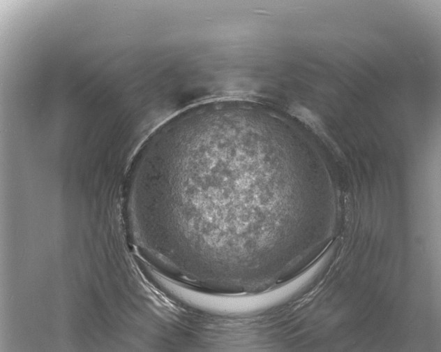 X0000060811260200511171259