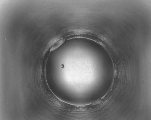 X0000060811261200511171259