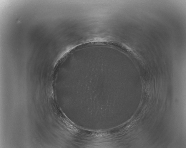 X0000060811262200511171259